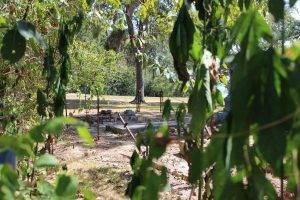 Chapman cemetery in Anahuac Texas