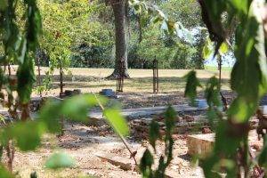 Chapman cemetery in Anahuac Texas