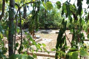 Chapman cemetery in Anahuac Texas